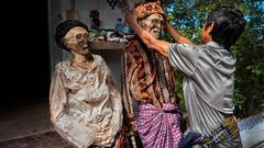 Torajan death rituals [VidushiMalhotra]