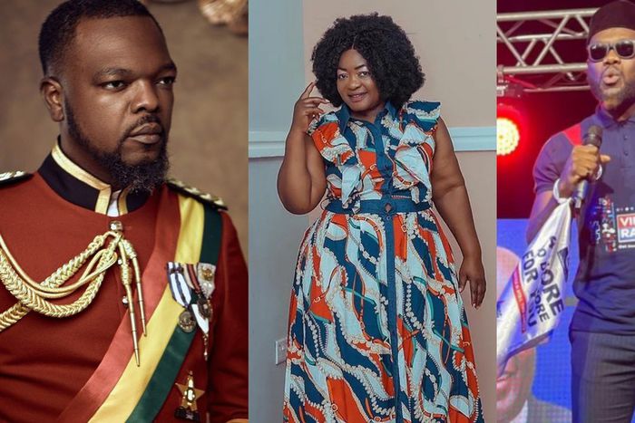 12 celebrities who have declared their support for NDC or NPP