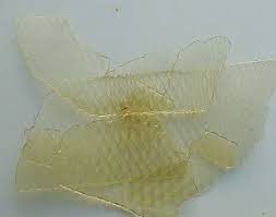 Isinglass [Wikipedia]