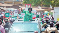Professor Jane Naana Opoku-Agyemang