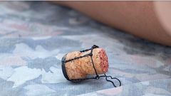 A regular wine cork can save you from a lot of trouble [Alamy Limited]