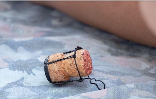 A regular wine cork can save you from a lot of trouble [Alamy Limited]