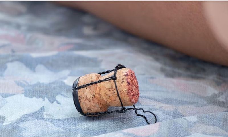 A regular wine cork can save you from a lot of trouble [Alamy Limited]