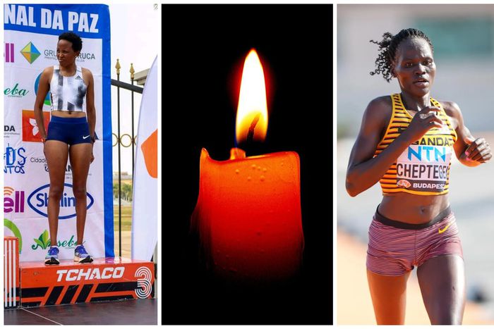 Femicide: Female athletes who were gruesomely murdered by their partners