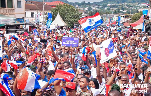 NPP supporters