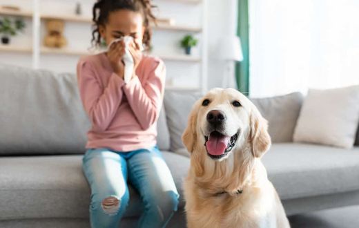 Many animals cary diseases [DogNerds]