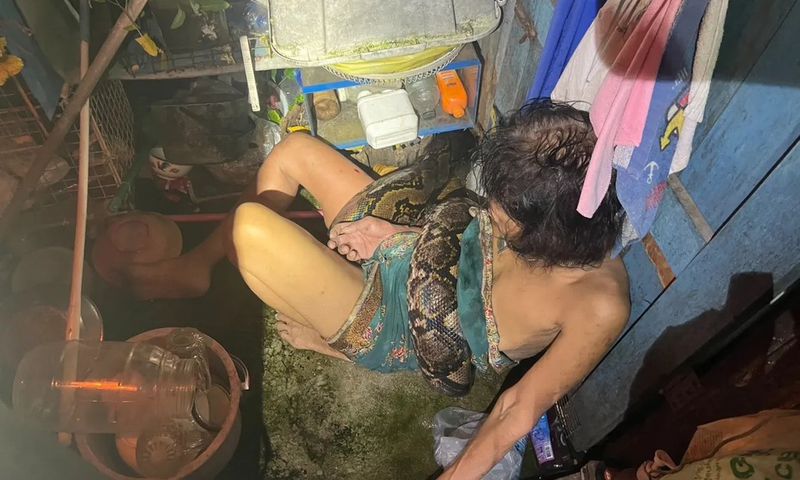 Woman survives python attack