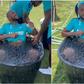 ‘My first time seeing Jordan Ayew smile’ – Fans react to striker taking ice bath (VIDEO)