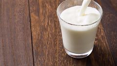 Dairy