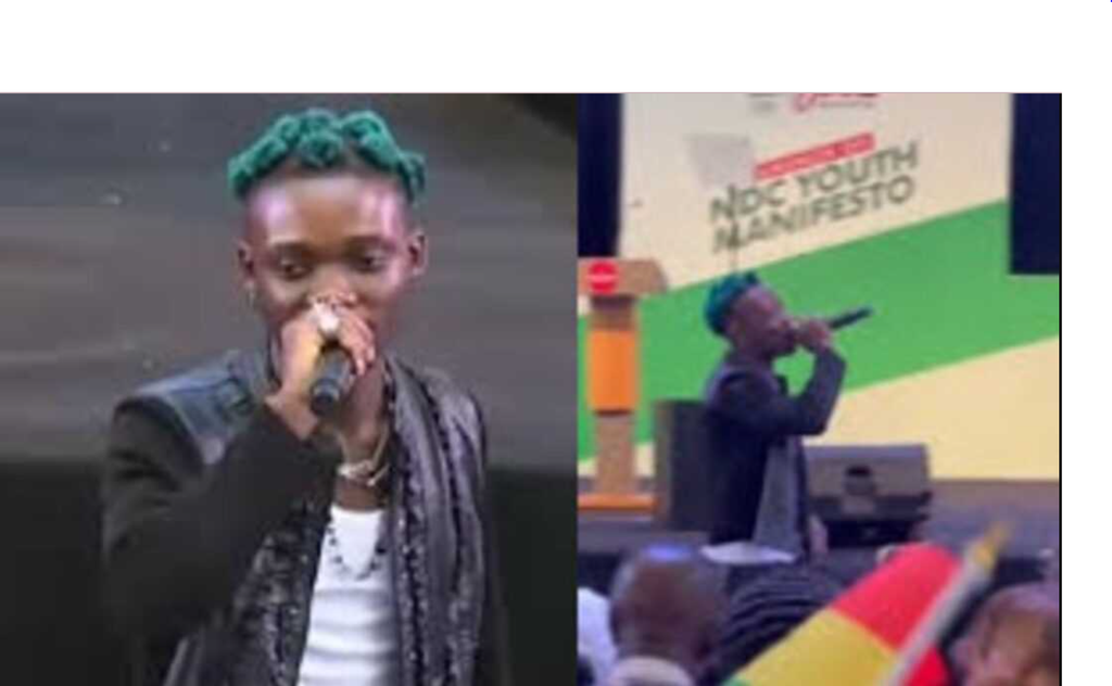 Ghanaian artistes who 'cashed' during  2024 political party rallies