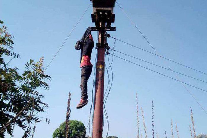 Electrocuted (TheBusinessIntelligence)