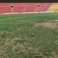 NSA replies critics of Baba Yara Stadium pitch: 'Did Angola play in the sky'