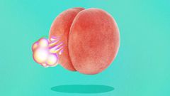 Why do you fart all the time? [Shape]