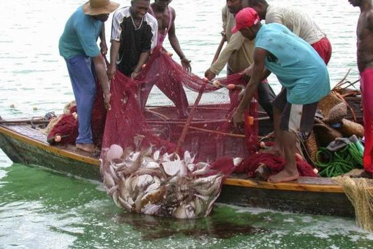 Tema fishermen