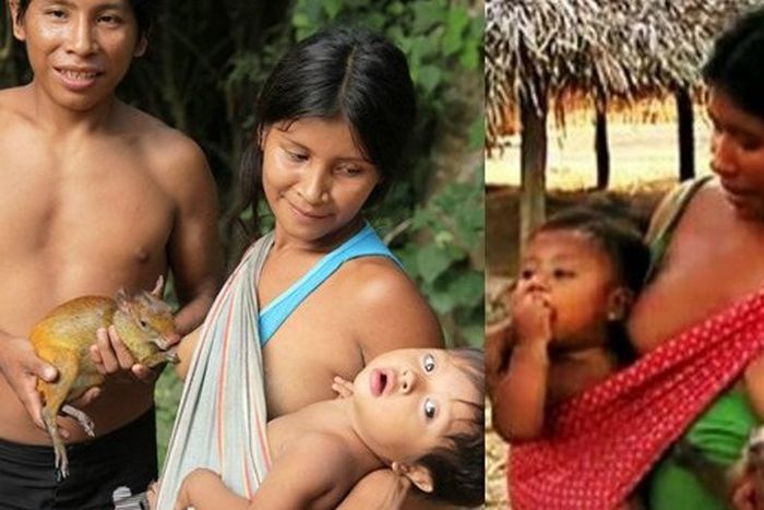 The Awa women breastfeeds their animals [Indiatimes]