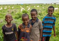 10 countries with the lowest IQ in the world