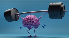 IQ
