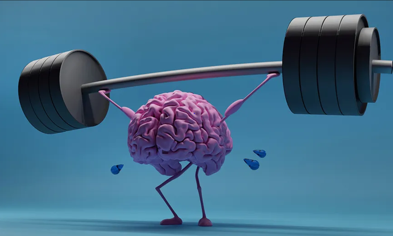IQ