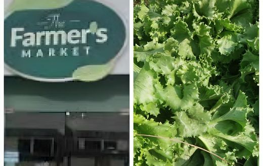 My horror experience at the Farmer's Market shop as a supplier