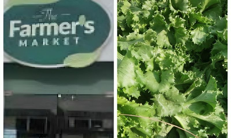 My horror experience at the Farmer's Market shop as a supplier