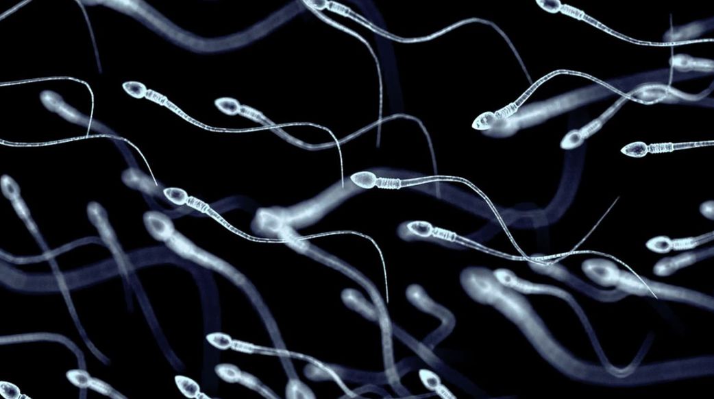 Is it safe to swallow semen?