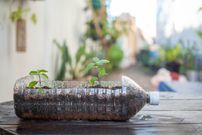 5 simple ideas to turn plastic waste into treasure