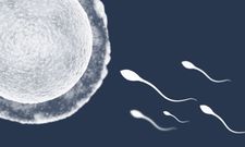 Is it safe to swallow semen?