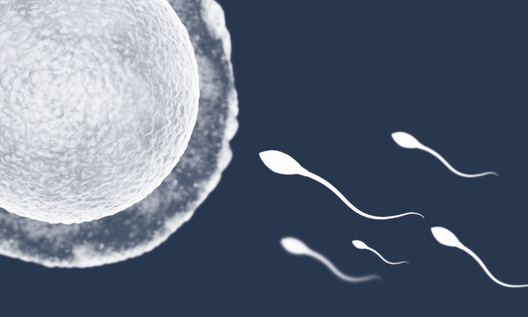 Is it safe to swallow semen?