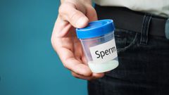 Sperm