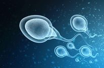Is it safe to swallow semen?