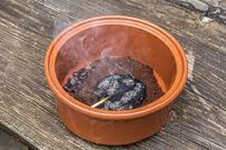 9 natural ways to keep mosquitoes away without sprays or coils