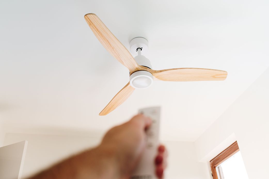 9 natural ways to keep mosquitoes away without sprays or coils