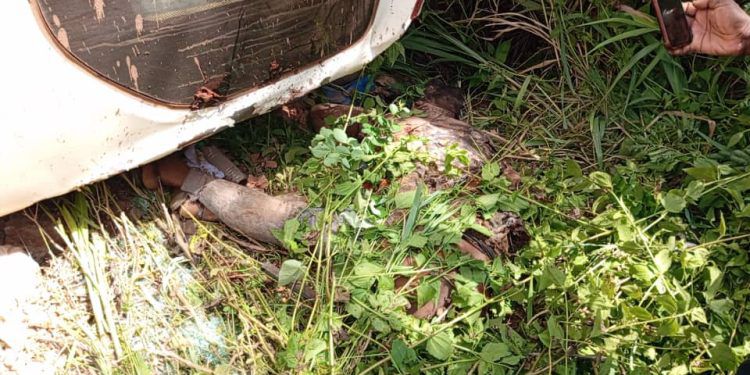 Tragic bus crash at Aseseeso claims two lives, injures several students