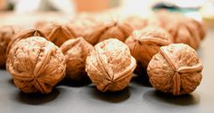10 foods that can make you smarter