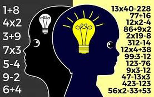 Low IQ- Premium Times Opinions