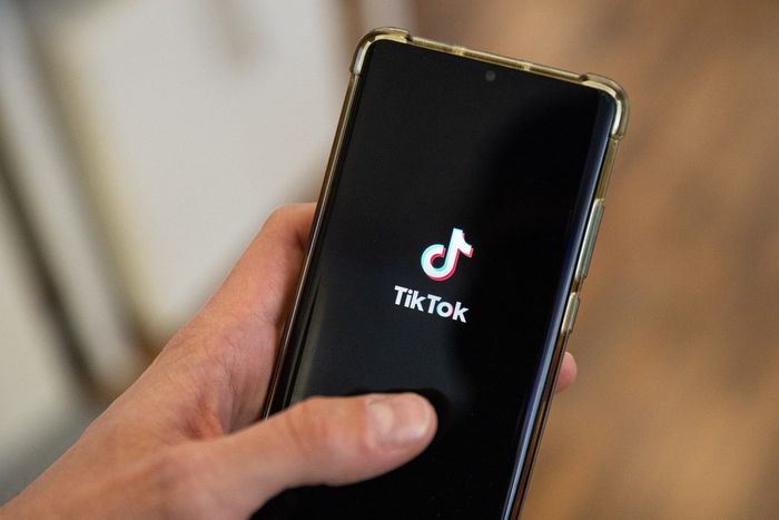 TikTok is facing a US ban.ANTONIN UTZ/Getty