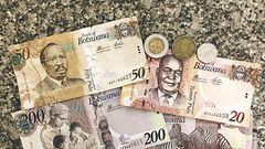 Botswana Pula [ThebusinessWeekly]