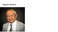 Naguib Sawiris