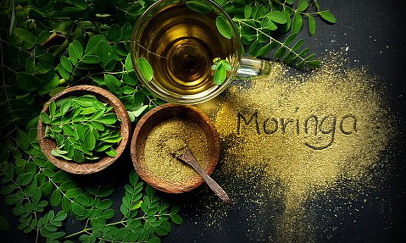 You should add moringa to your diet [iStock]