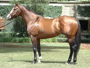 Green Monkey [PaulickReport]