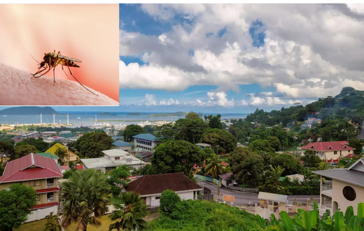 African countries without malaria [fishermancove/shuttershock]