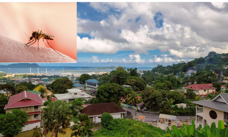 African countries without malaria [fishermancove/shuttershock]