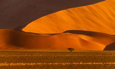 The towering sand dunes in Sossusvlei [CreativeNatureArt]