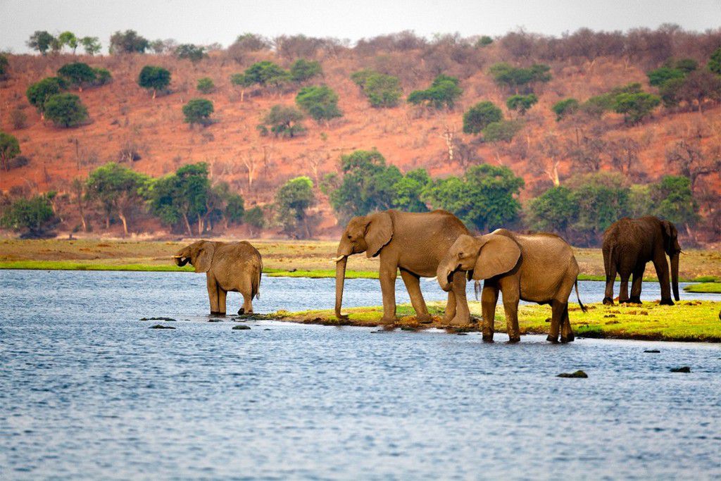 Botswana is a safe and peaceful country [LinkedIn]