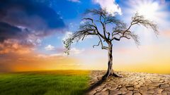 Why Climate Leadership Must Go Beyond Commitments to Implementation