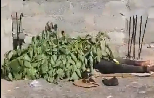 Body left to decompose in New Weija