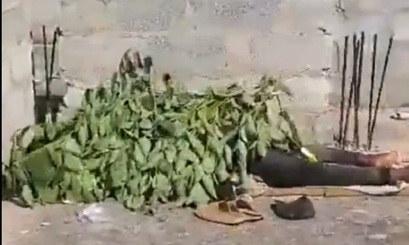 Body left to decompose in New Weija