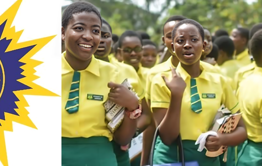 WAEC receives GH₵35m from government, working to release WASSCE results before month ending