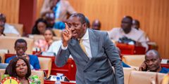 NPP minority demands fine, imprisonment for Emeafa Hardcastle over ‘silly’ comment