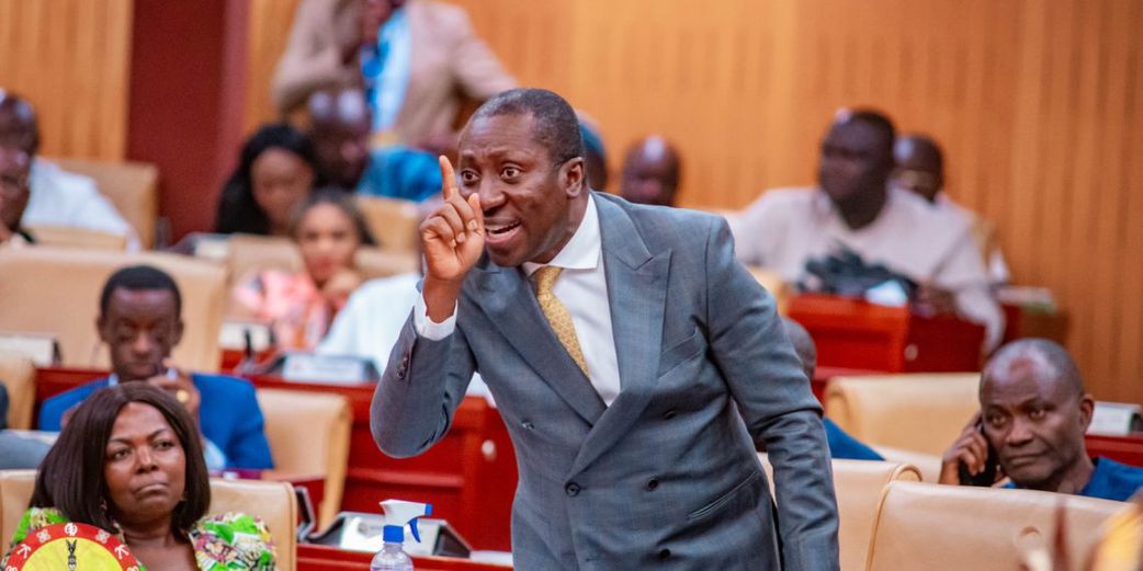 NPP minority demands fine, imprisonment for Emeafa Hardcastle over ‘silly’ comment